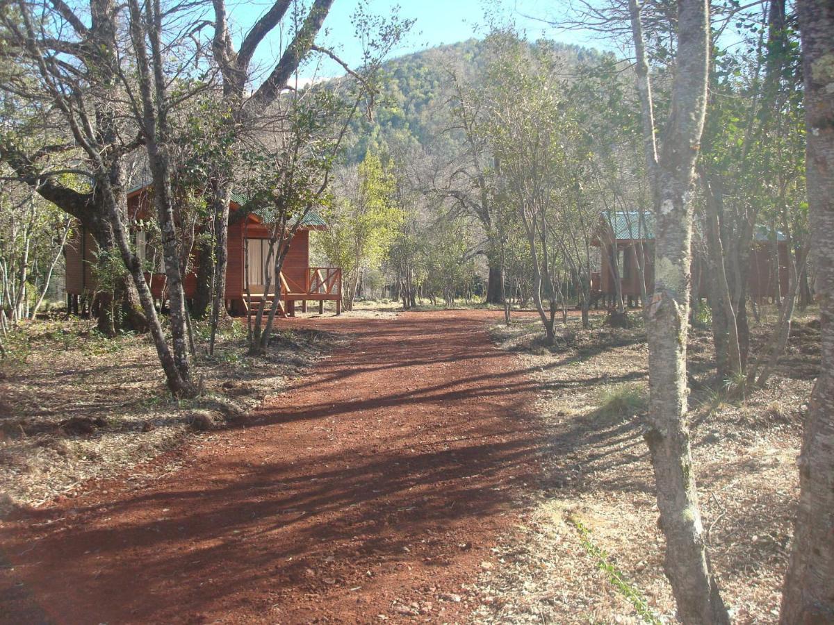 Cabanas Roble Quemado Las Trancas Chambre photo